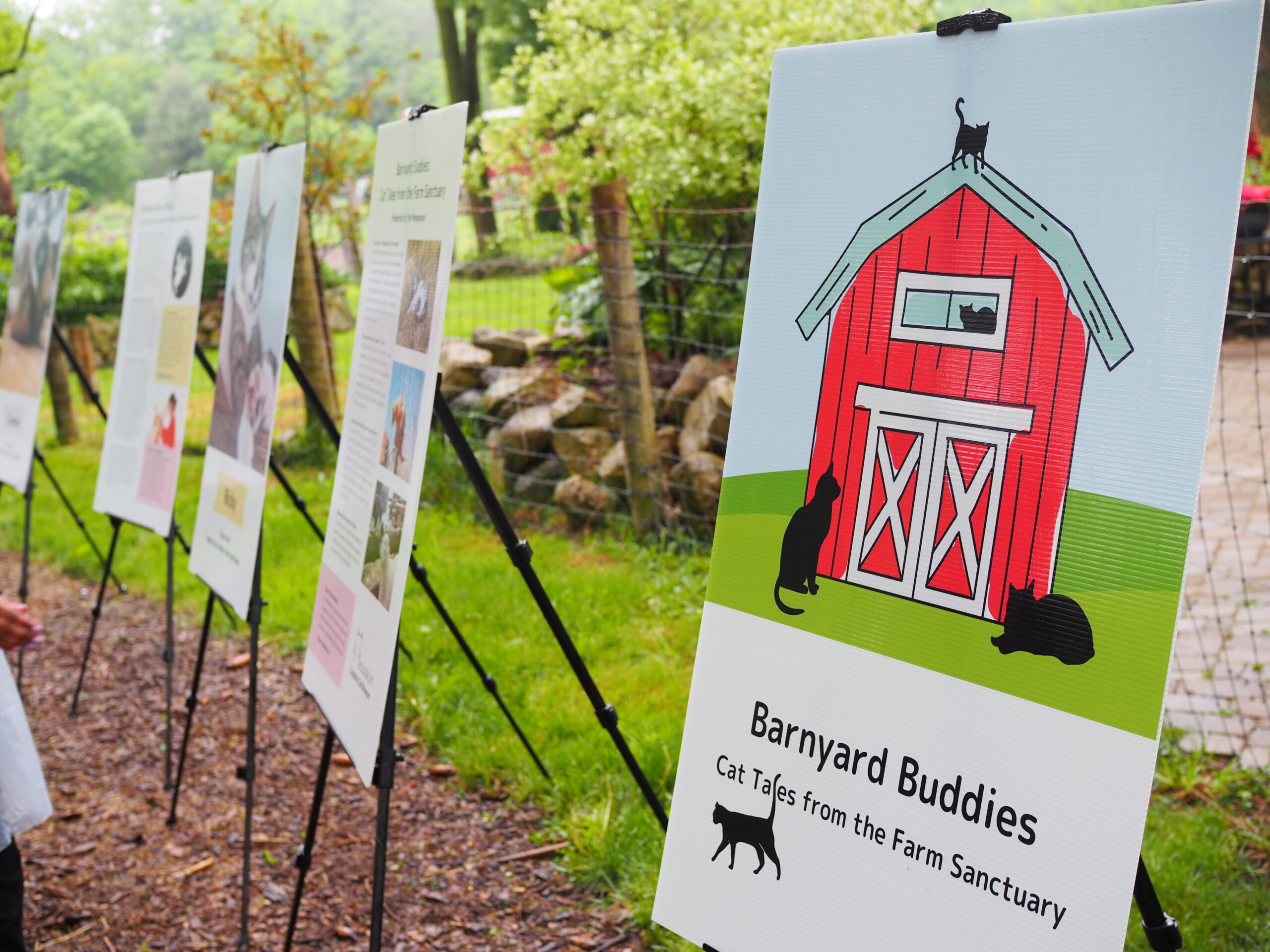 Barnyard Buddies: Cat Tales from the Farm Sanctuary